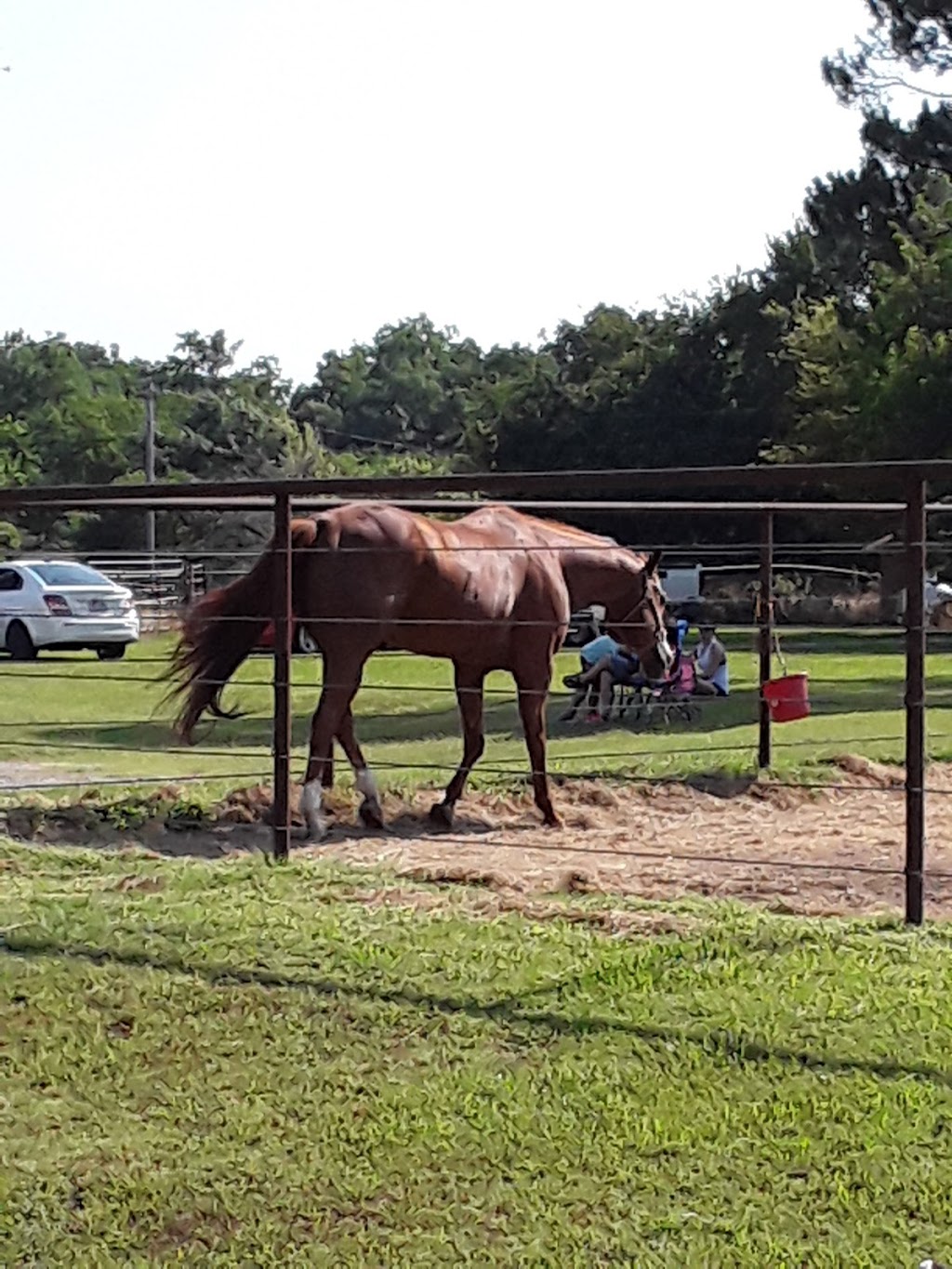 Riverbend Mobile Veterinary | 9551 Moffatt Rd, Lexington, OK 73051 | Phone: (405) 527-0432