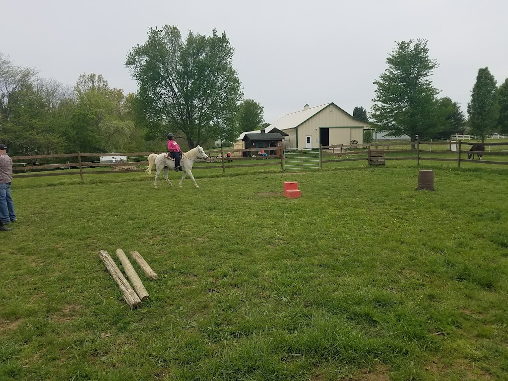 Heavenward Farm and Horsemanship | 7084 Ludlum Rd, Morrow, OH 45152, USA | Phone: (513) 899-4347