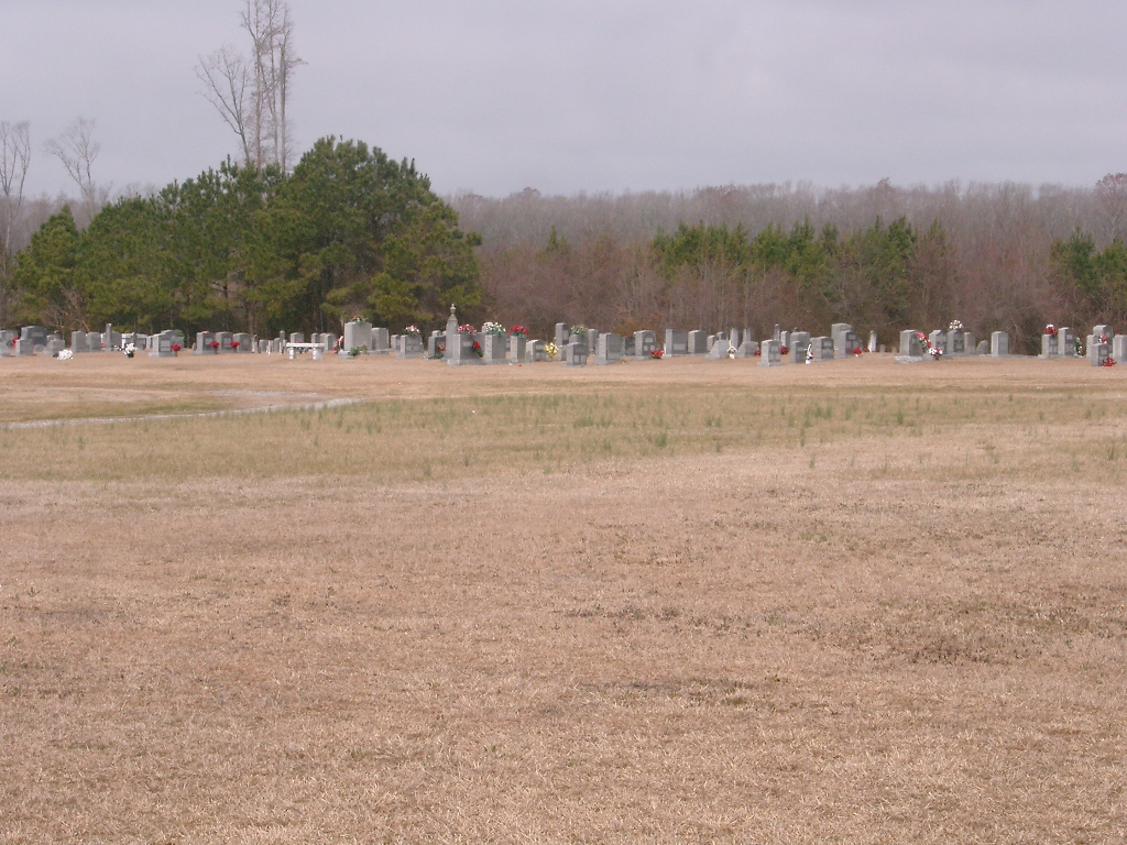 Up River Friends | 523 Up River Rd, Belvidere, NC 27919, USA | Phone: (252) 297-2442