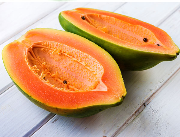 Jessicas Organic Farm | 4180 47th St, Sarasota, FL 34235, USA | Phone: (941) 363-1586