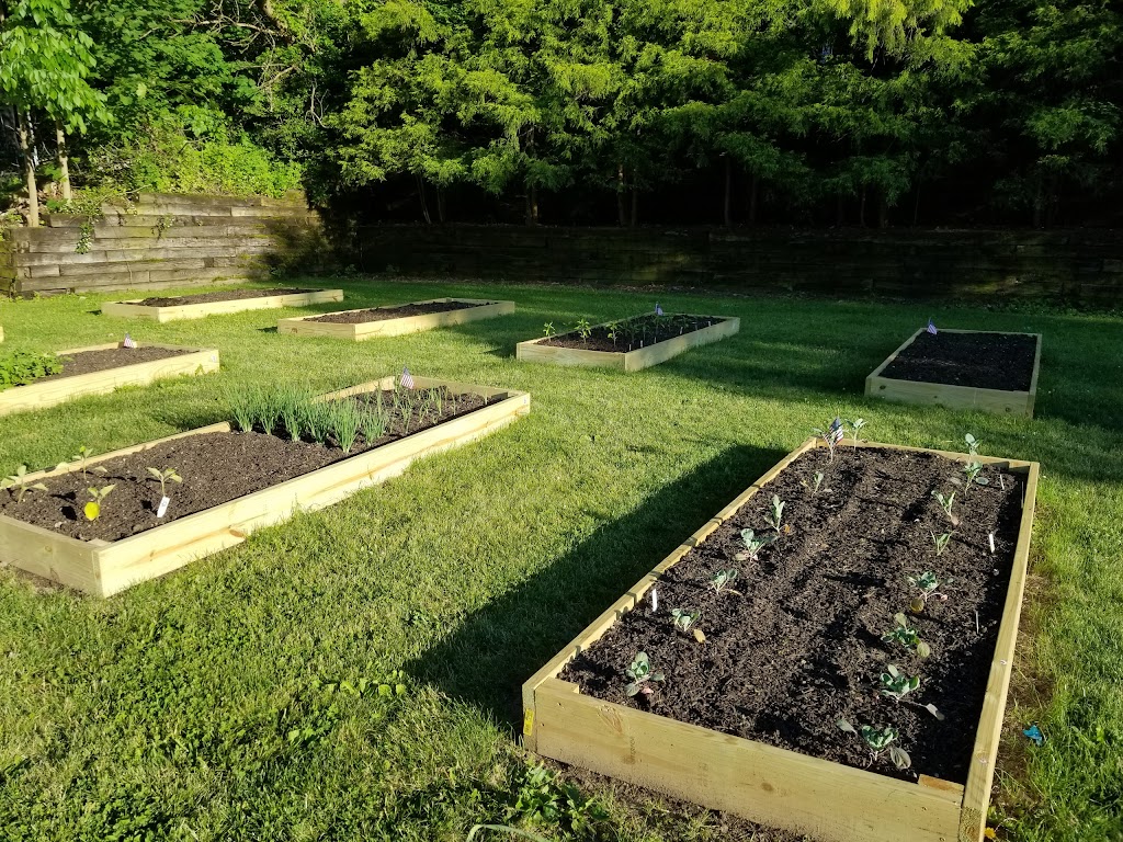 Lakemore Community Garden | 1390 Park St, Akron, OH 44312, USA | Phone: (330) 733-6125