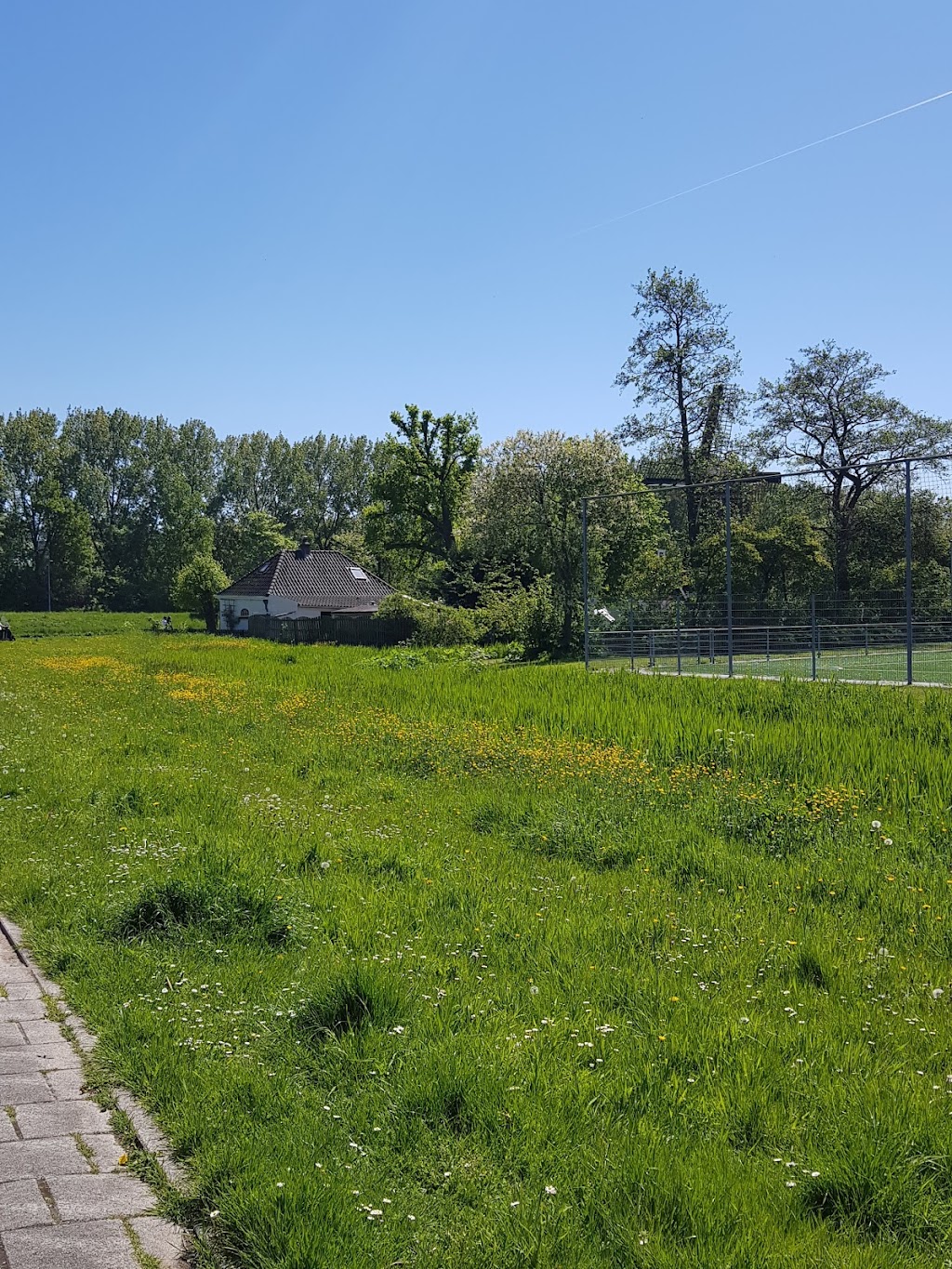 Kinderboerderij De Buiktuin | Noordhollandschkanaaldijk 19, 1034 ZL Amsterdam, Netherlands | Phone: 020 631 4376