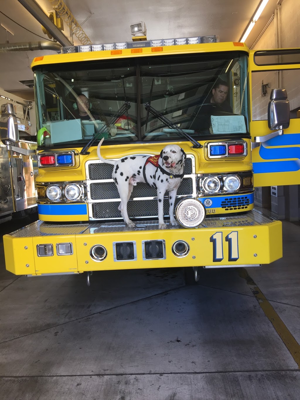 Clark County Fire Station 11 | 5150 S Las Vegas Blvd, Las Vegas, NV 89119, USA | Phone: (702) 455-7311