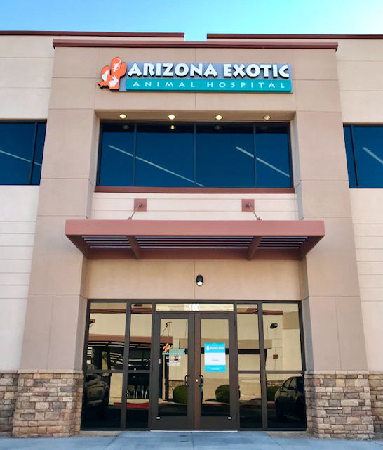 Arizona Exotic Animal Hospital | 2340 E Beardsley Rd Ste 100, Phoenix, AZ 85024, USA | Phone: (623) 243-5200