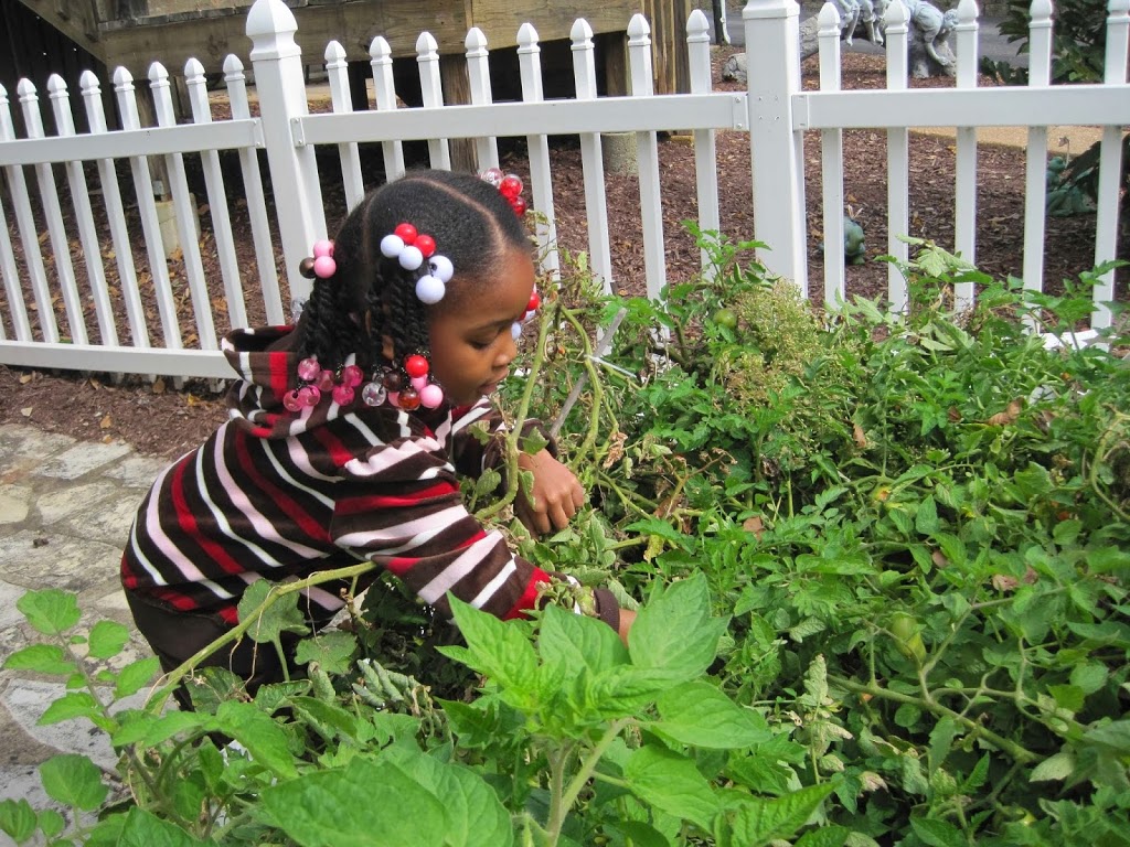 Countryside Montessori School | 12226 Ladue Rd, Creve Coeur, MO 63141 | Phone: (314) 434-2821