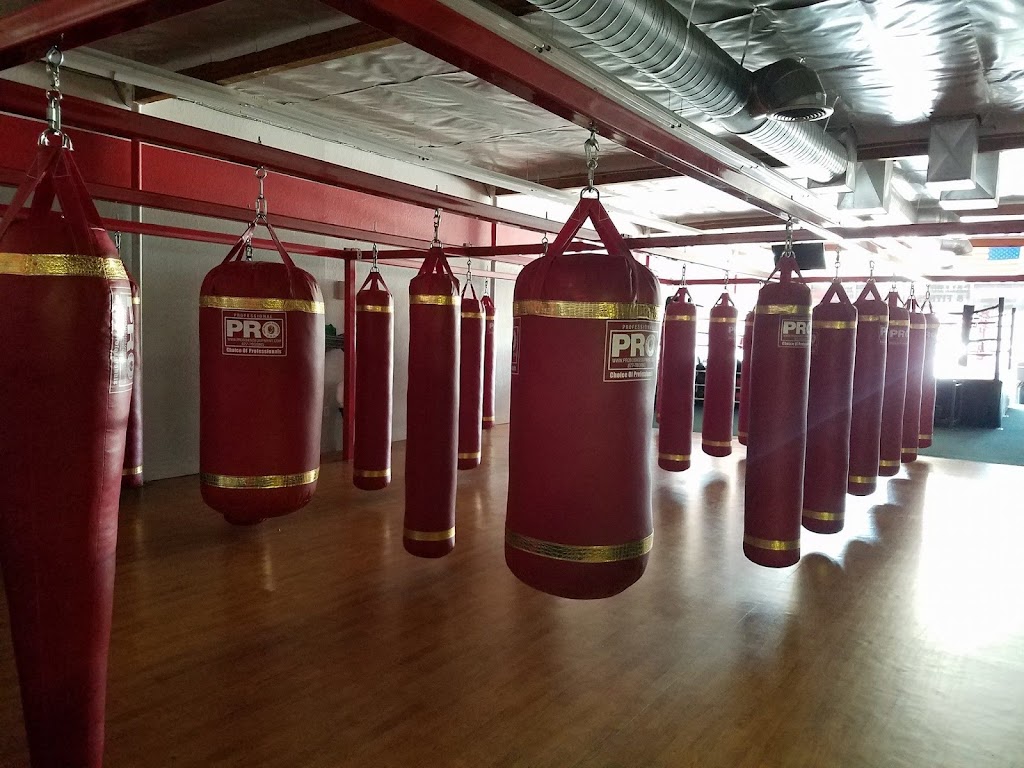 San Jose Boxing & Fitness | 3469 McKee Rd, San Jose, CA 95127, USA | Phone: (408) 729-5269