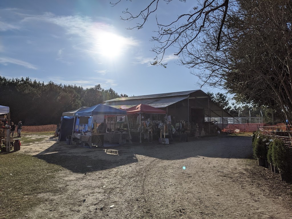 Yawn Station Christmas Tree Farm | 29400, 29498 Ruby Purvis Rd, Independence, LA 70443, USA | Phone: (985) 878-6223