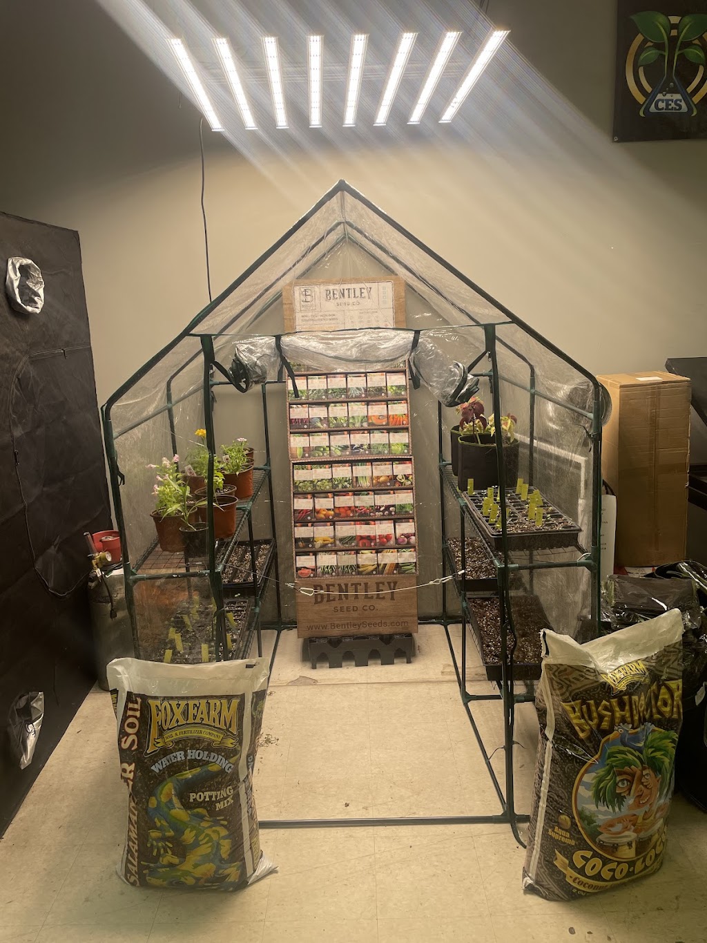 420 Hydroponics & Garden Supply | Spring Hill Dr, Spring Hill, FL 34606, USA | Phone: (352) 556-5857