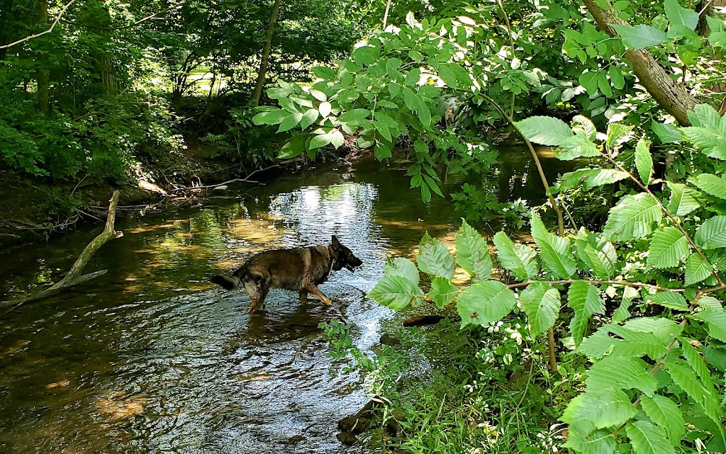 Clear Creek Park | 1201 W Main St, Richmond, IN 47374, USA | Phone: (765) 983-7275