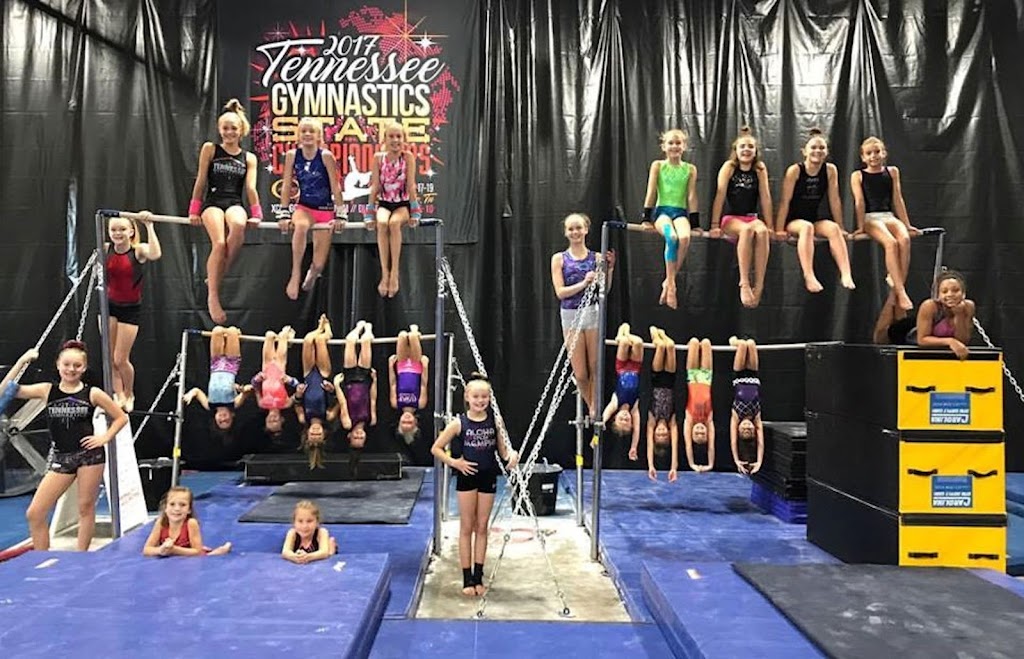 Mt. Juliet Elite Gymnastics | 490 Industrial Dr, Mt. Juliet, TN 37122, USA | Phone: (615) 756-5577