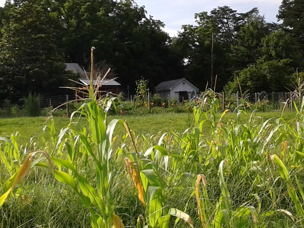 Cooks Community Garden | 3201 Mt Holly-Huntersville Rd, Charlotte, NC 28216, USA | Phone: (704) 394-4422