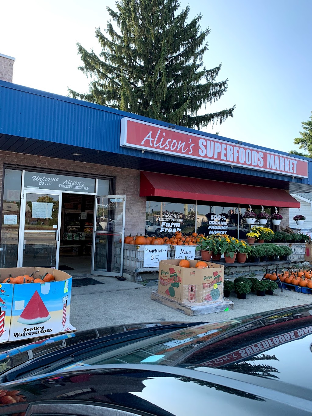 Alisons Superfoods Market | 12966 Prospect Rd, Strongsville, OH 44149, USA | Phone: (440) 212-2380