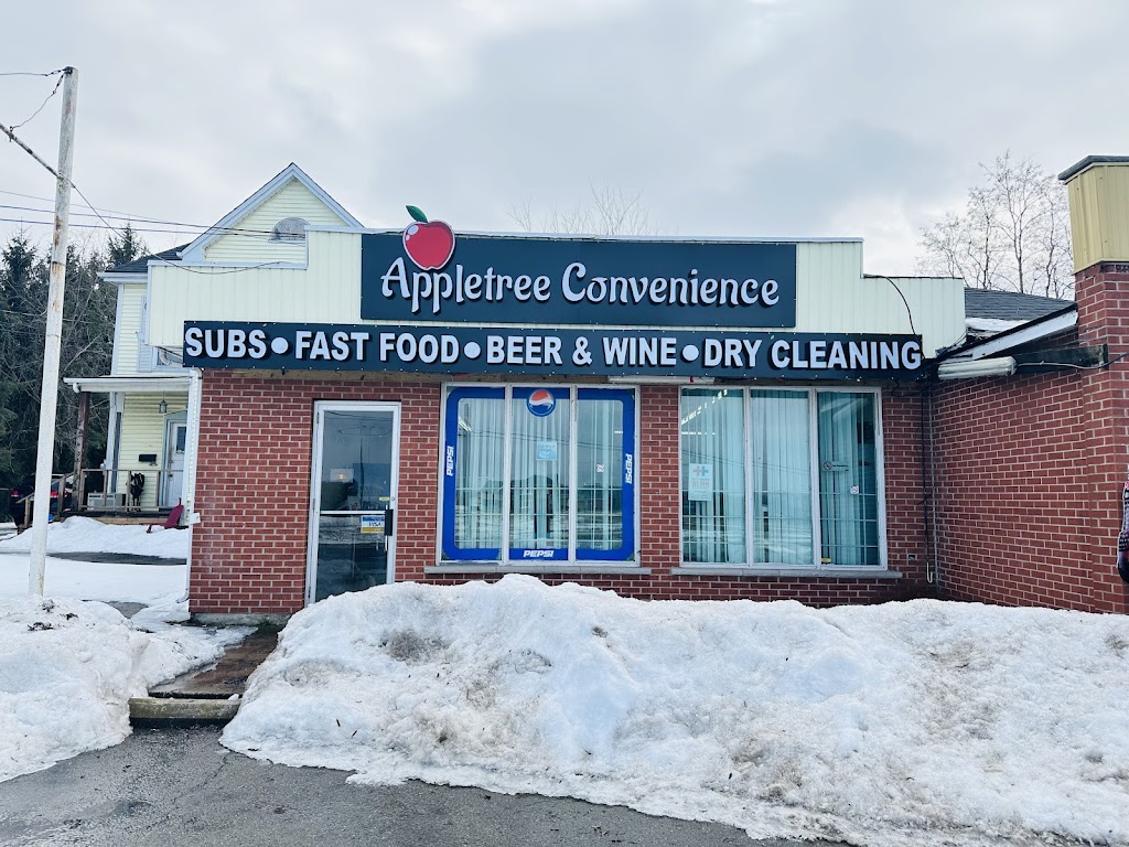 Apple Tree Convenience | 409 Main St W, Grimsby, ON L3M 1T1, Canada | Phone: (289) 235-9731