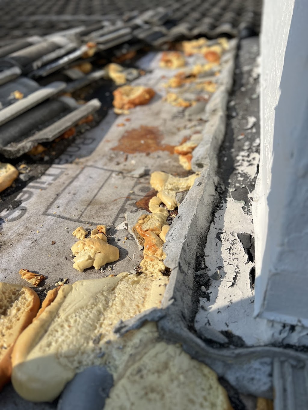 Andy the roofer & co | 210 W 2nd Ct, Key Largo, FL 33037, USA | Phone: (305) 451-1552