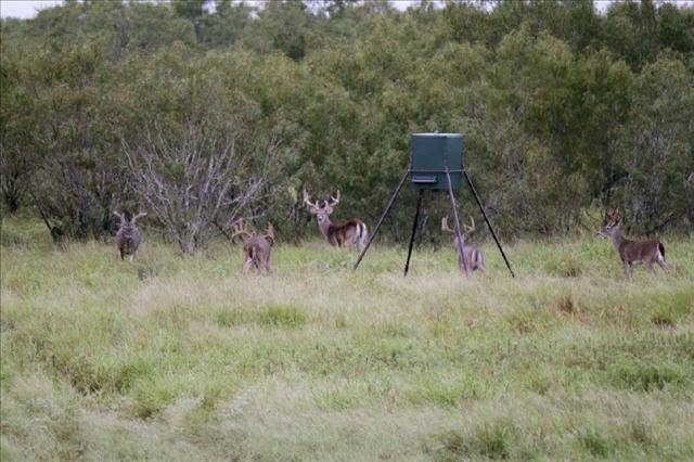 La Leyenda Ranch | Miles Rd, Tilden, TX 78072, USA | Phone: (713) 202-5348