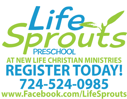 Life Sprouts Preschool | 139 Knoch Rd, Saxonburg, PA 16056, USA | Phone: (724) 524-0985