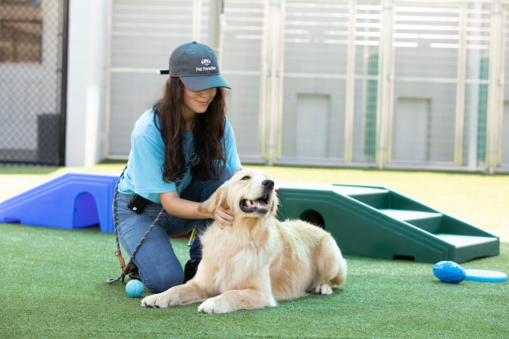 Pet Paradise Lakewood Ranch | 10411 Portal Crossing, Bradenton, FL 34211, USA | Phone: (941) 209-1021