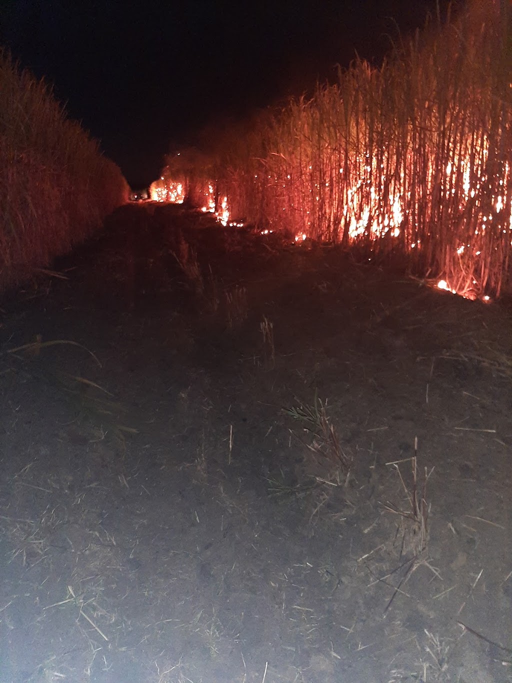 Catahoula Lake Fire Department | 4340 Catahoula Hwy, St Martinville, LA 70582, USA | Phone: (337) 394-4756