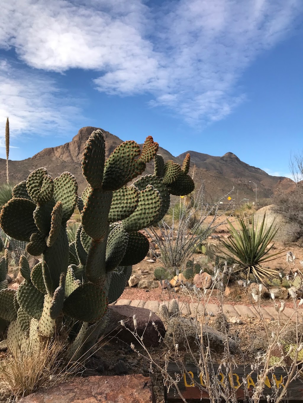 El Paso Museum of Archaeology | 4301 Woodrow Bean Transmountain Dr, El Paso, TX 79924, USA | Phone: (915) 755-4332