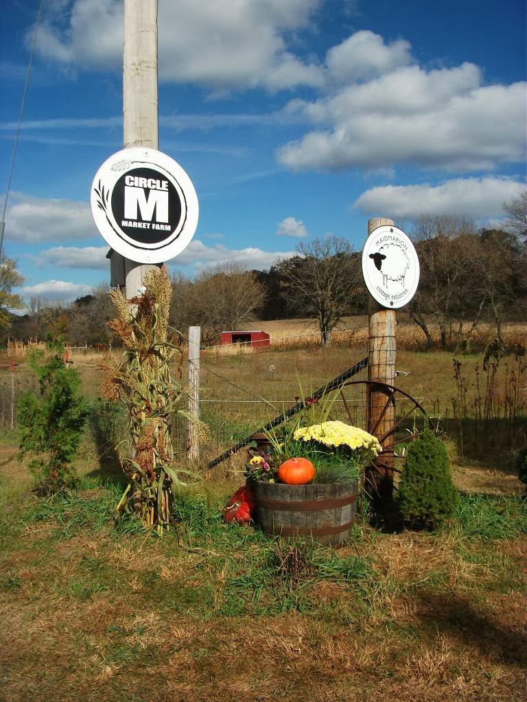 Circle M Market Farm BnB | 1784 County Hwy H, Blanchardville, WI 53516, USA | Phone: (608) 636-4652