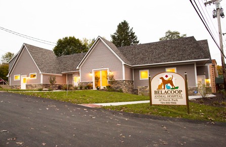 BelaCoop Animal Hospital of North Park | 2232 W Hardies Rd, Gibsonia, PA 15044, USA | Phone: (724) 939-7062