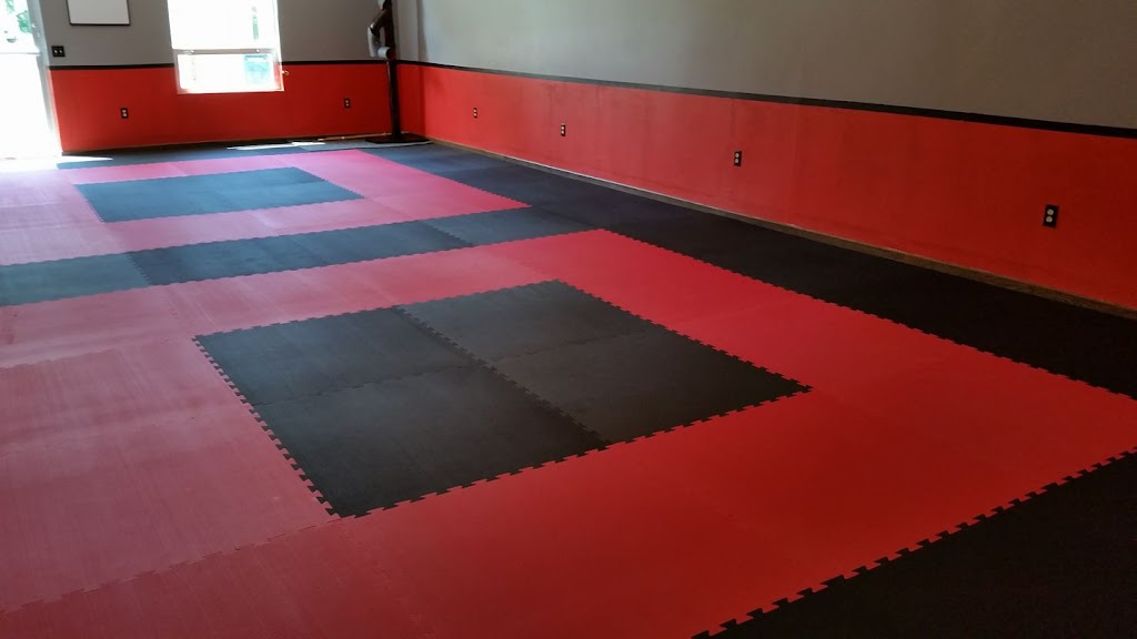 Lions Den Fitness and Martial Arts | 1337 Mills St, Black Earth, WI 53515, USA | Phone: (608) 259-6569