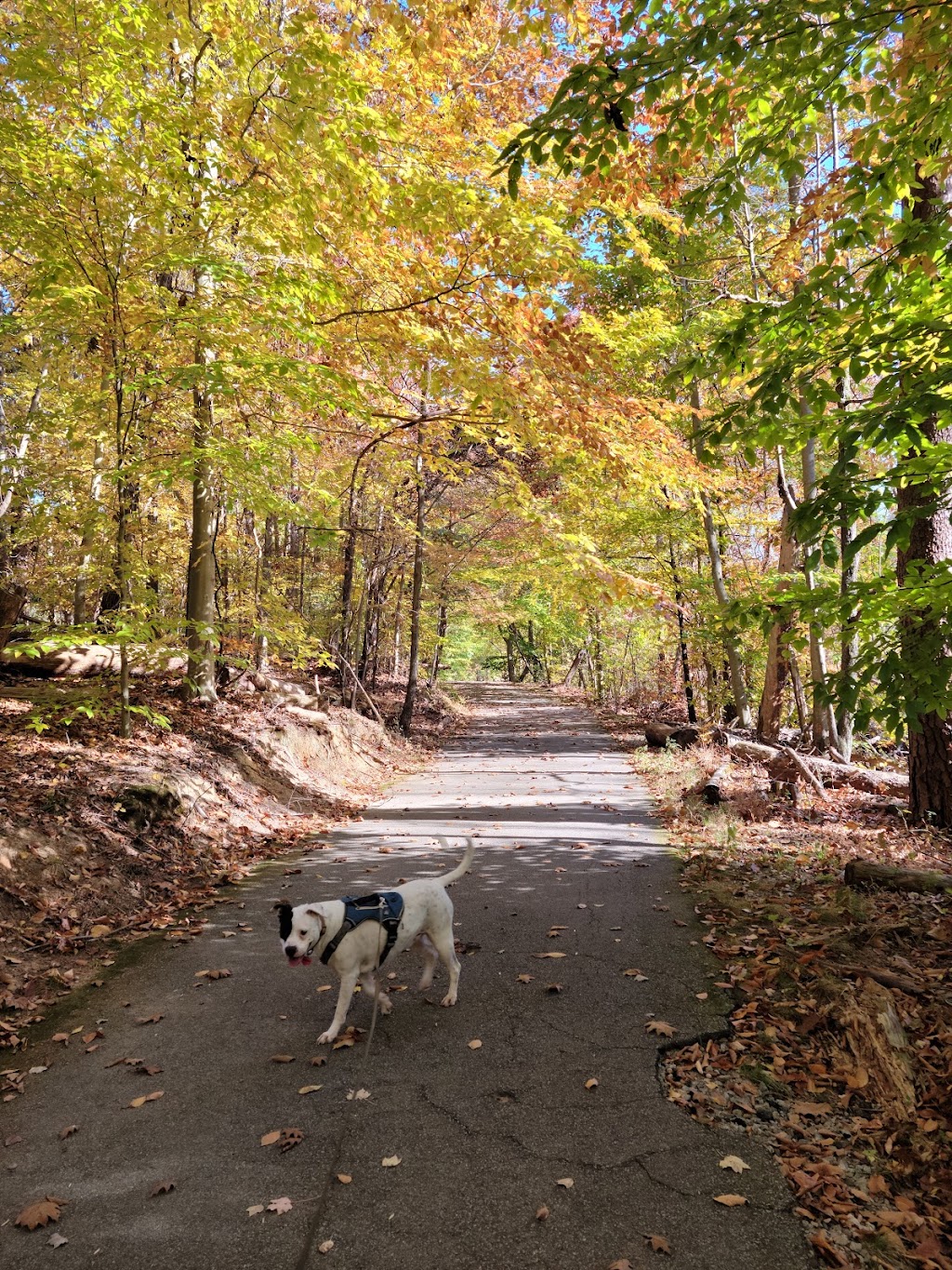 Piedmont Environmental Center | 1220 Penny Rd, High Point, NC 27265, USA | Phone: (336) 883-8531
