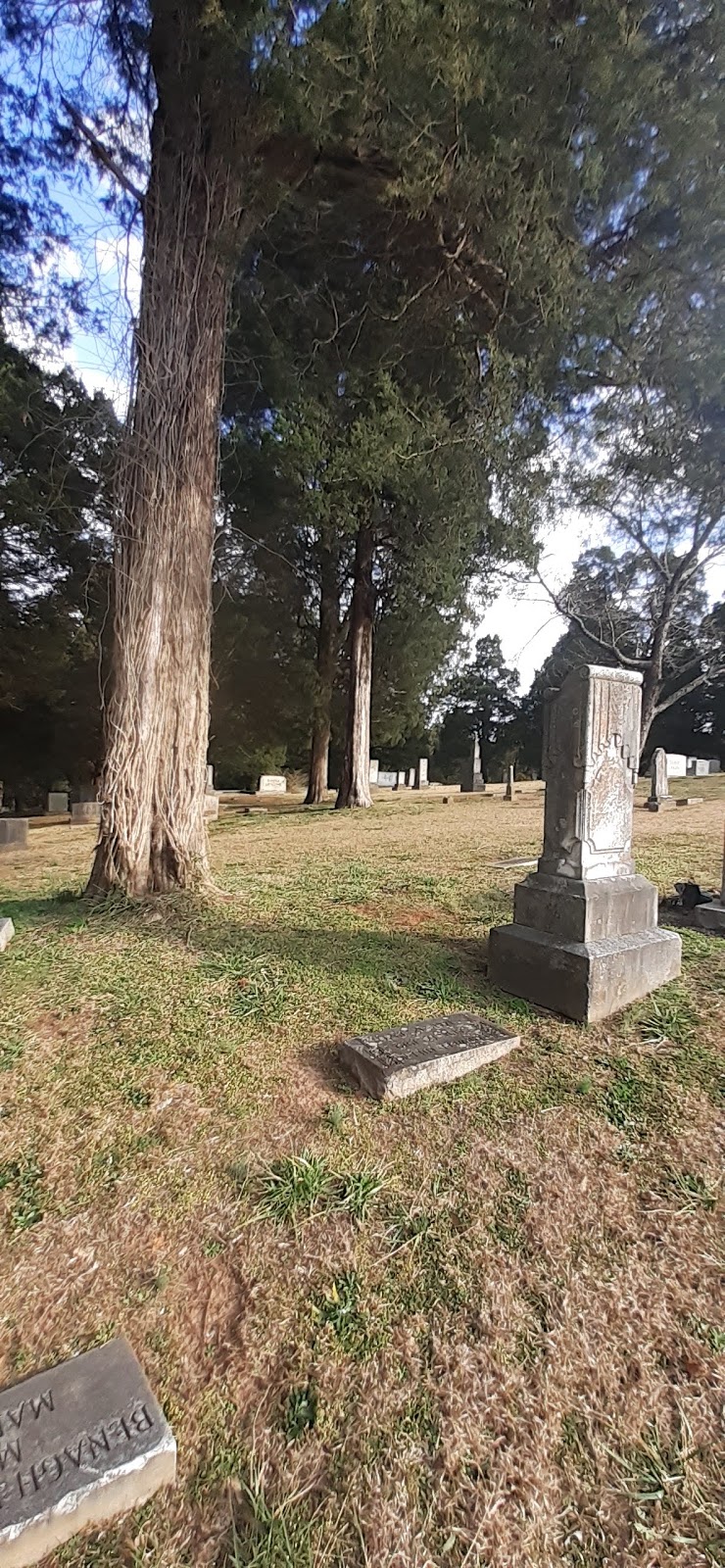 Cedar Hill Cemetery | 650 Circle Heights Cir, Bessemer, AL 35020, USA | Phone: (205) 428-1414