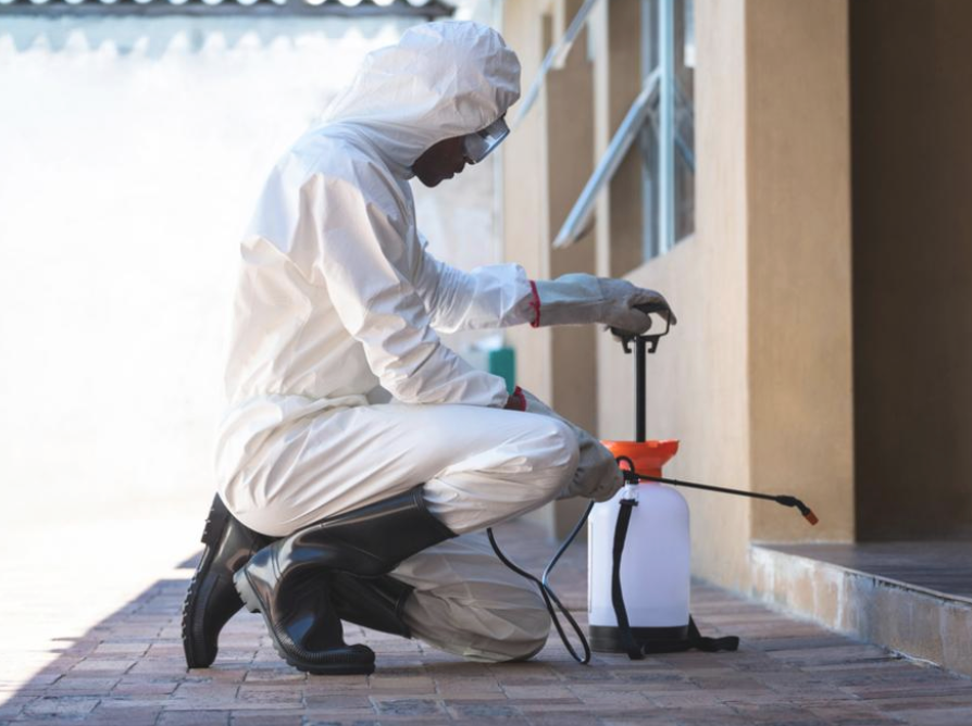 Desert Heat Pest Control LLC | 15411 W Waddell Rd Suite 102-246, Surprise, AZ 85379, USA | Phone: (623) 547-9556