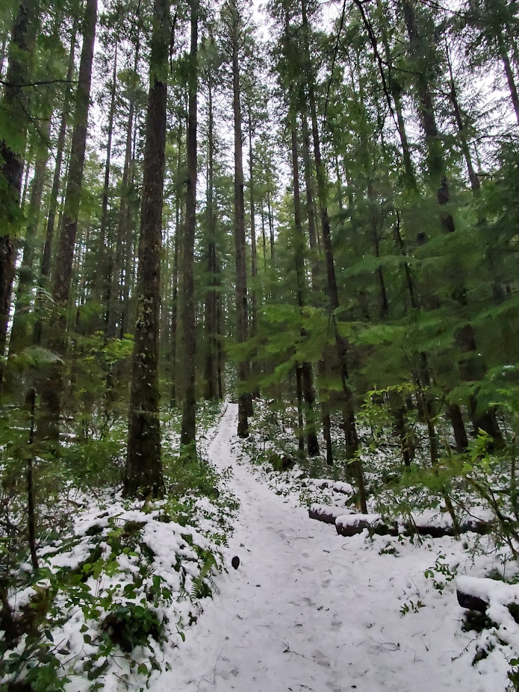 Mt. Walker Lower Trailhead | Quilcene, WA 98376, USA | Phone: (360) 765-2200