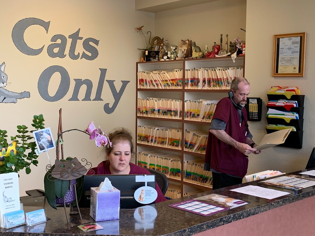 Cats Only Veterinary Hospital | 1220 Sunset Blvd, Rocklin, CA 95765 | Phone: (916) 435-9300