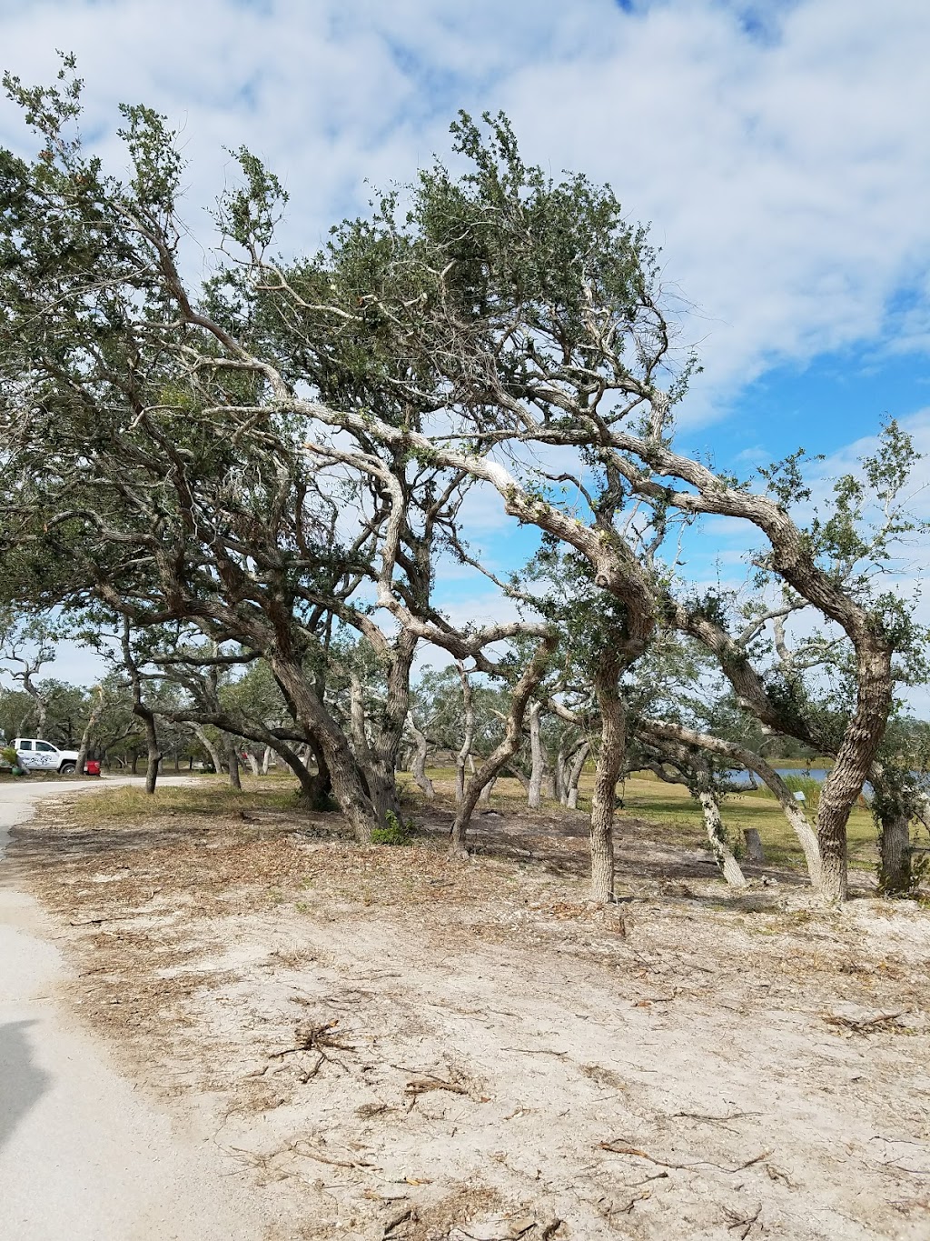 Seaport Village RV Park | 5340 Hwy 35 N Bypass, Rockport, TX 78382, USA | Phone: (361) 727-0866