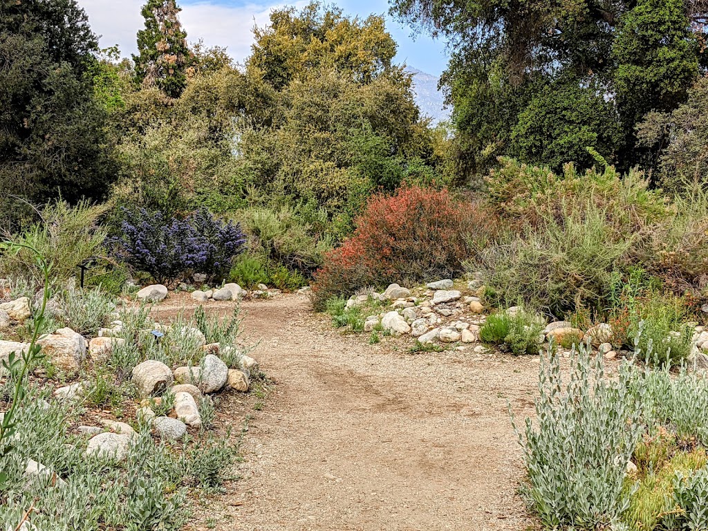 California Botanic Garden | 1500 N College Ave, Claremont, CA 91711, USA | Phone: (909) 625-8767