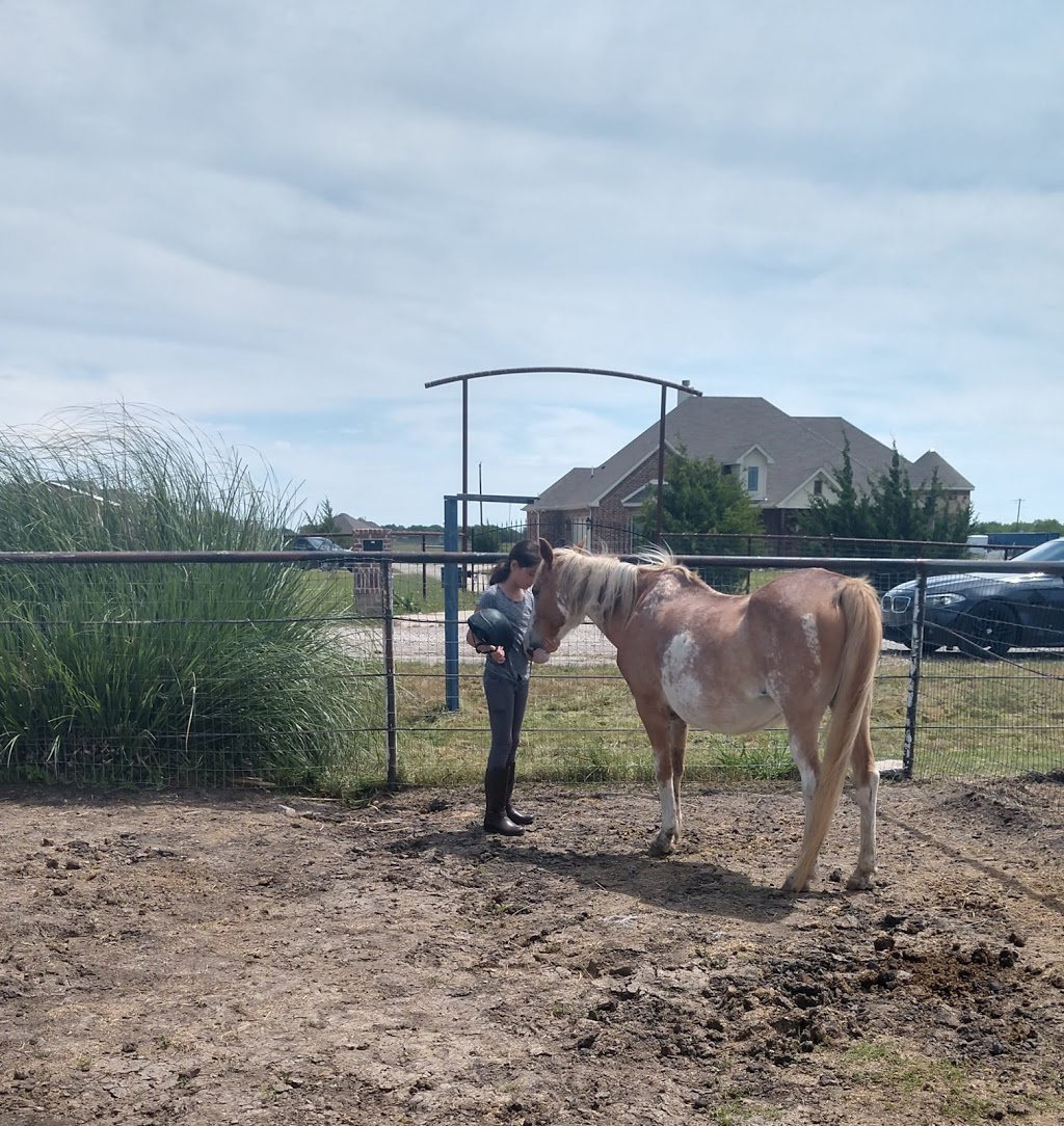 Chisholm Trail Rides | 1068 Frontier Trail, Rockwall, TX 75032, USA | Phone: (214) 584-8698