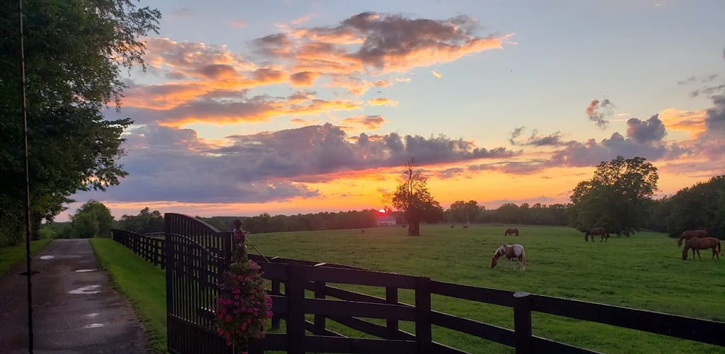 West Wind Stables | 4787 Haley Rd, Lexington, KY 40516, USA | Phone: (859) 539-3008