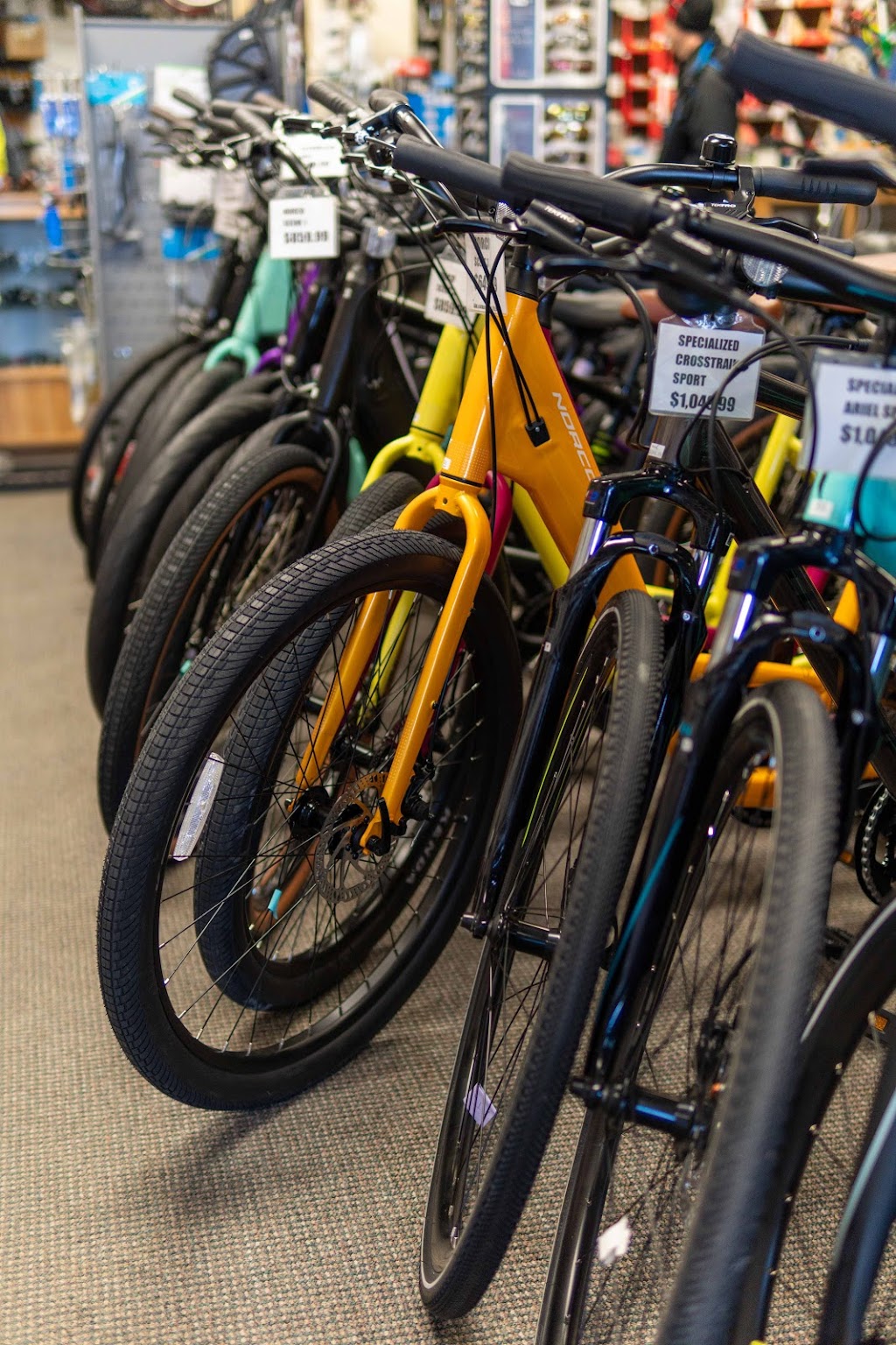 Bicycle World | 1267 Grand Marais Rd W, Windsor, ON N9E 1E1, Canada | Phone: (519) 966-7985