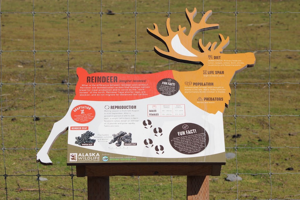 Reindeer Exhibit | 43520 Seward Hwy, Girdwood, AK 99587, USA | Phone: (907) 783-0058