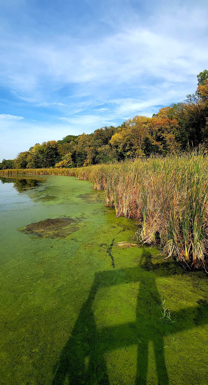 Westwood Hills Nature Center | 8300 W Franklin Ave, St Louis Park, MN 55426, USA | Phone: (952) 924-2544