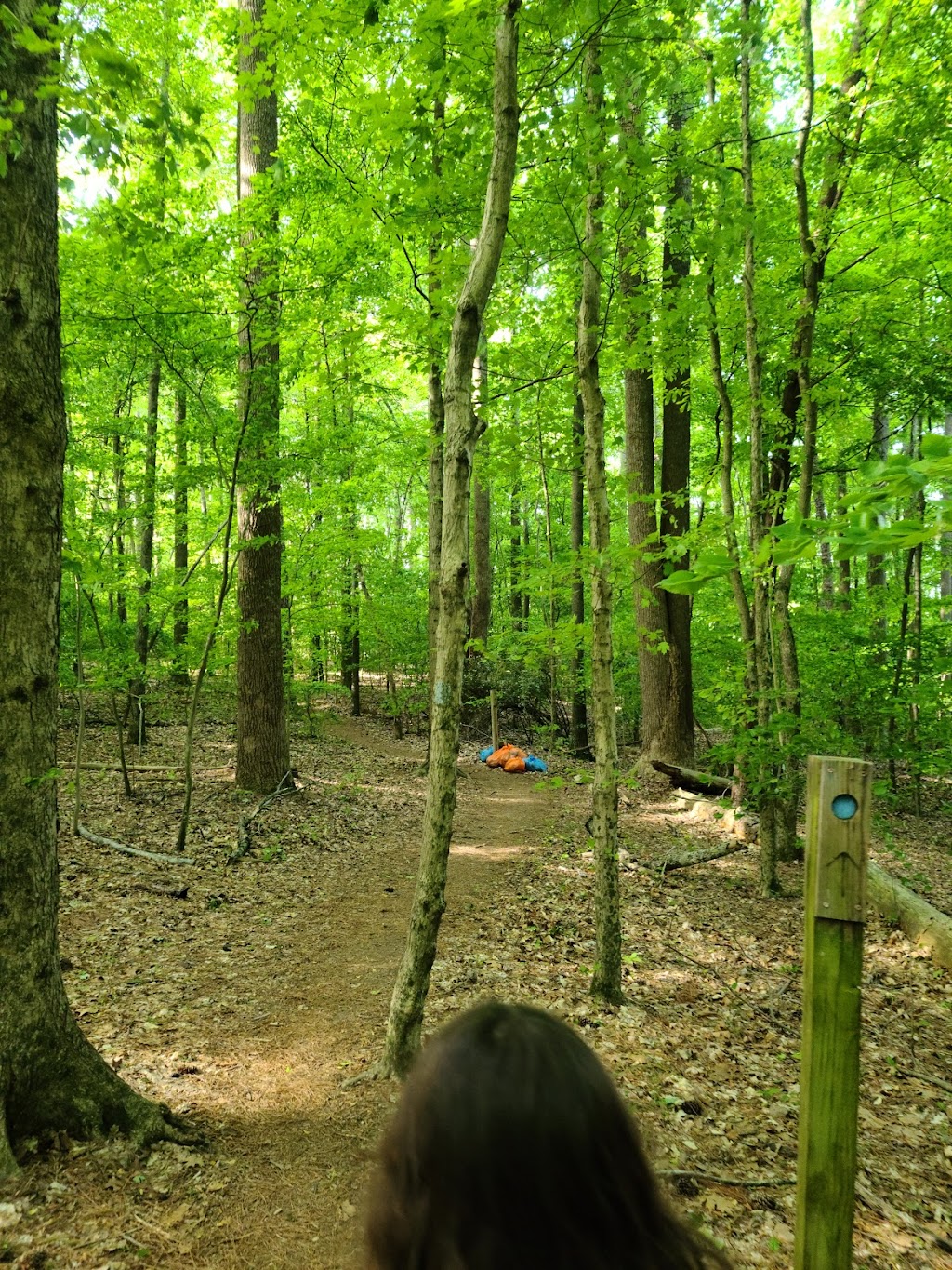 Piedmont Environmental Center | 1220 Penny Rd, High Point, NC 27265, USA | Phone: (336) 883-8531