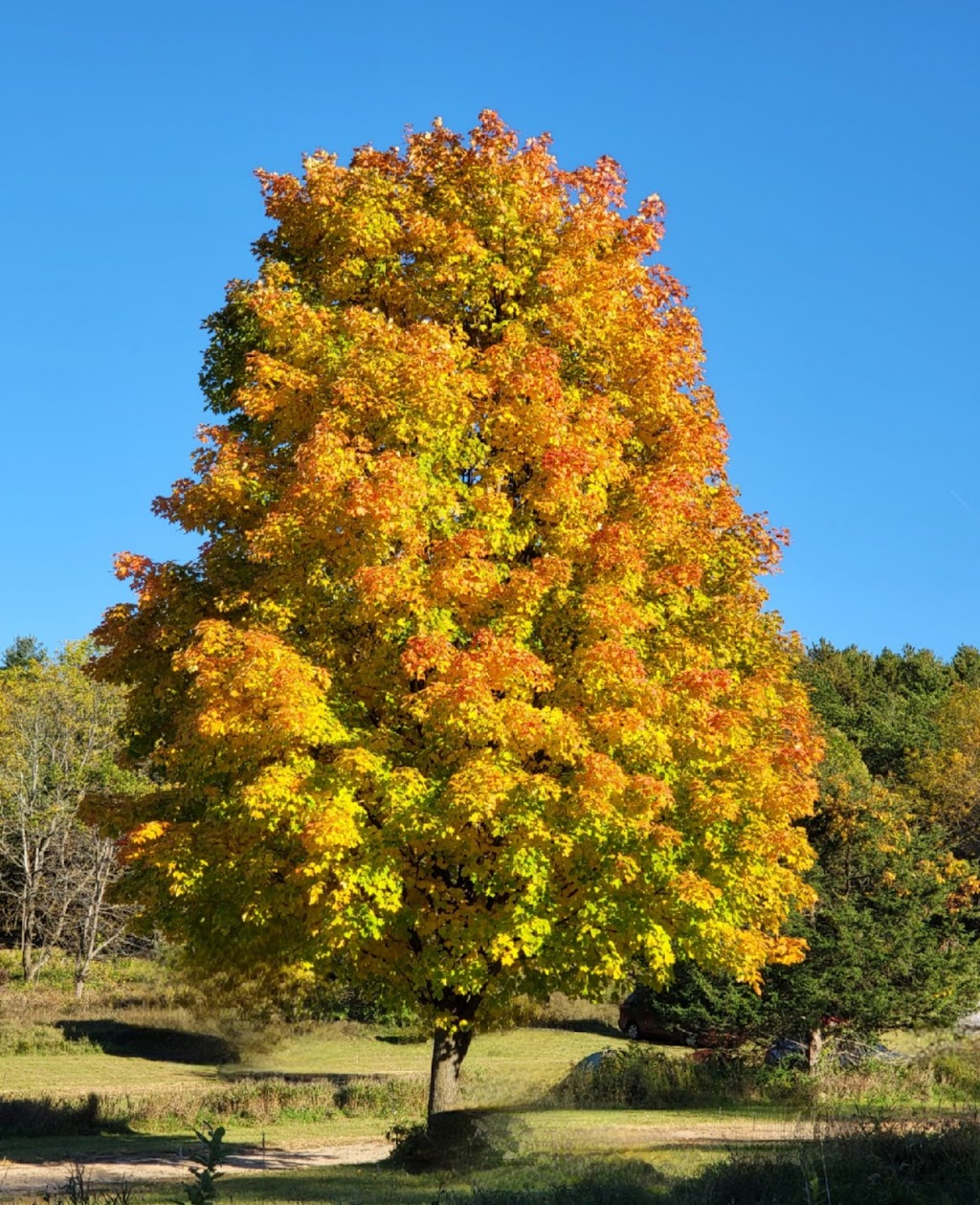 Lapham Peak Observation Tower | W329 N846, County C, Delafield, WI 53018, USA | Phone: (262) 646-3025