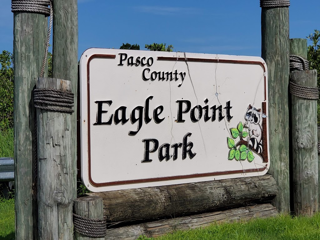 Eagle Point Park | Eagle Point Park, 4499 Straub Memorial Dr, New Port Richey, FL 34652, USA | Phone: (727) 938-2598
