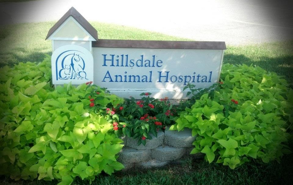 Hillsdale Animal Hospital - Violet Kirk, DVM | 134 Medical Dr, Advance, NC 27006, USA | Phone: (336) 998-8750