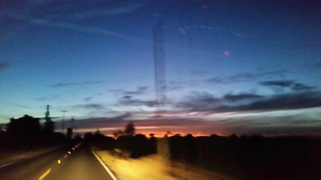 Ripken Vineyards & Winery | 2472 W Sargent Rd, Lodi, CA 95242, USA | Phone: (209) 367-9463