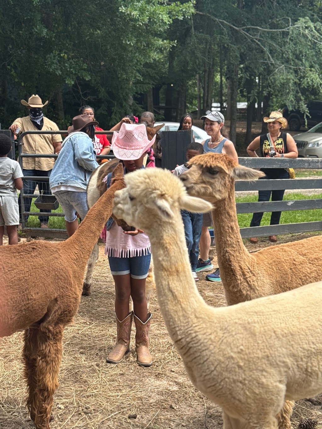 New London Farm | 3935 Lee Rd, Snellville, GA 30039, USA | Phone: (404) 849-9305