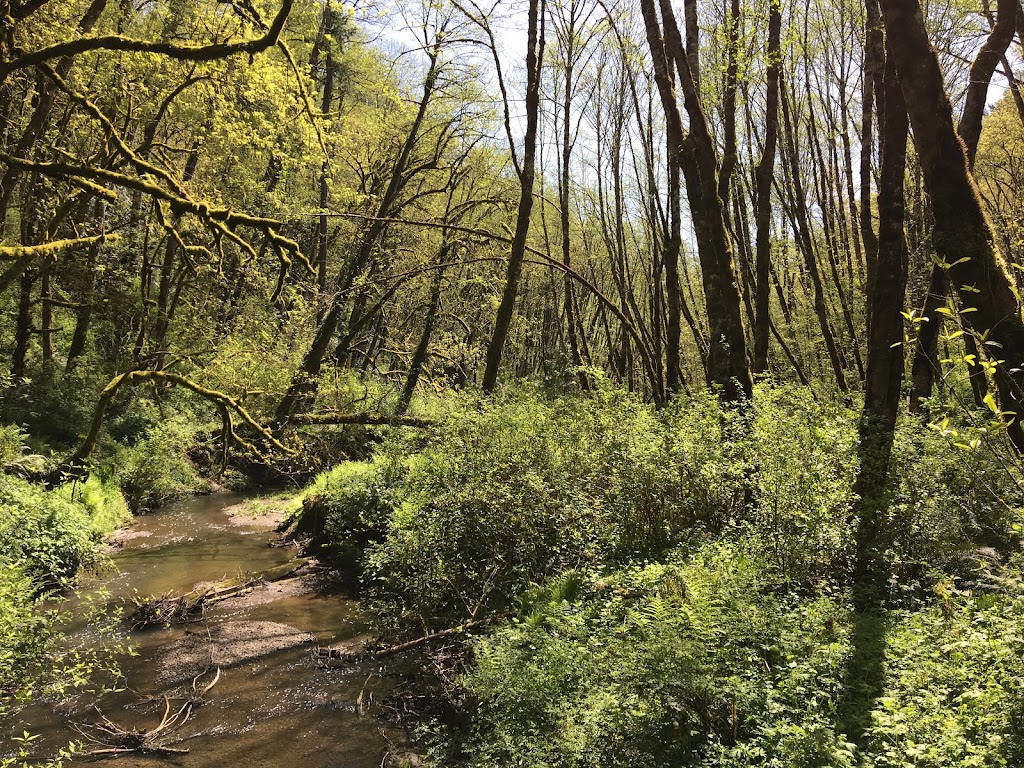 Tryon Creek State Natural Area | 11321 SW Terwilliger Blvd, Portland, OR 97219, USA | Phone: (800) 551-6949