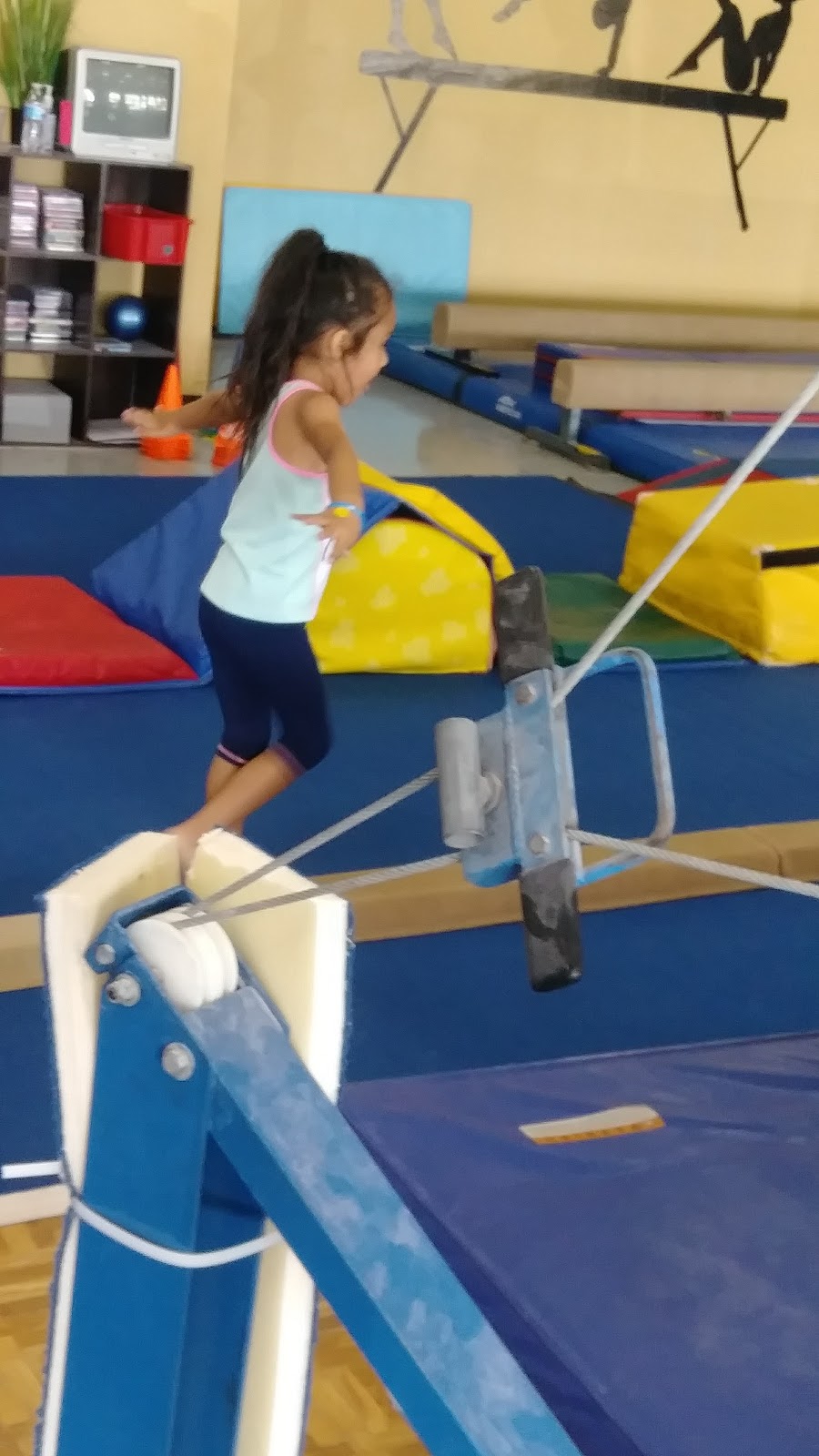 Ms Carols Gymkids | 116 N Lindsay Rd suite 9-13, Mesa, AZ 85213, USA | Phone: (480) 777-1033