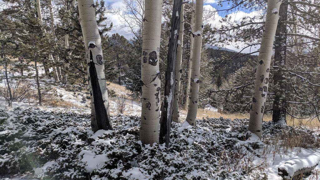 Muller State Park Visitors Center | Unnamed Road, Divide, CO 80814, USA | Phone: (719) 687-2366