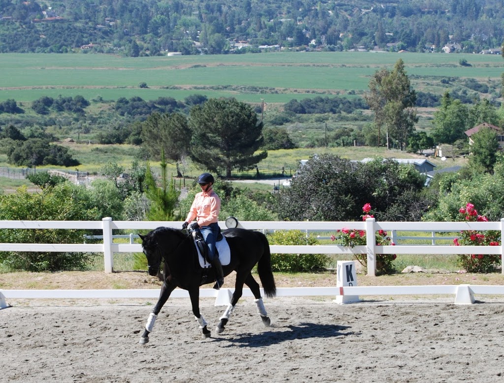 Lucia Rapalyea Dressage | 10255 Sprig Ave, Yucaipa, CA 92399, USA | Phone: (909) 801-9685