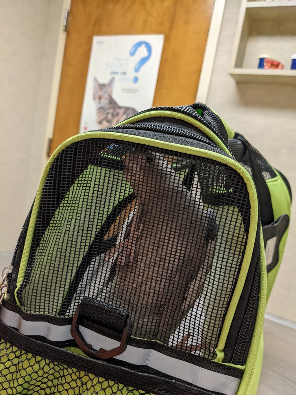 Total Care Veterinary Hospital | 633 Greensboro Rd, High Point, NC 27260, USA | Phone: (336) 841-8877