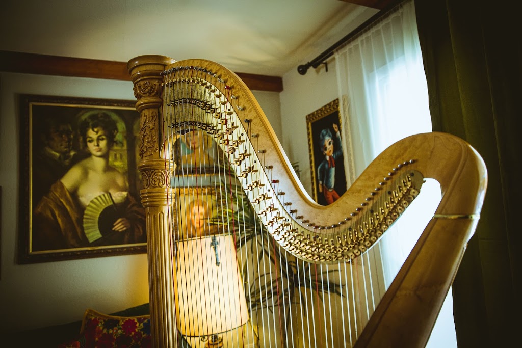 Phoenix Harpist Adrienne Knauer | 11515 N 91st St, Scottsdale, AZ 85260 | Phone: (914) 299-9962